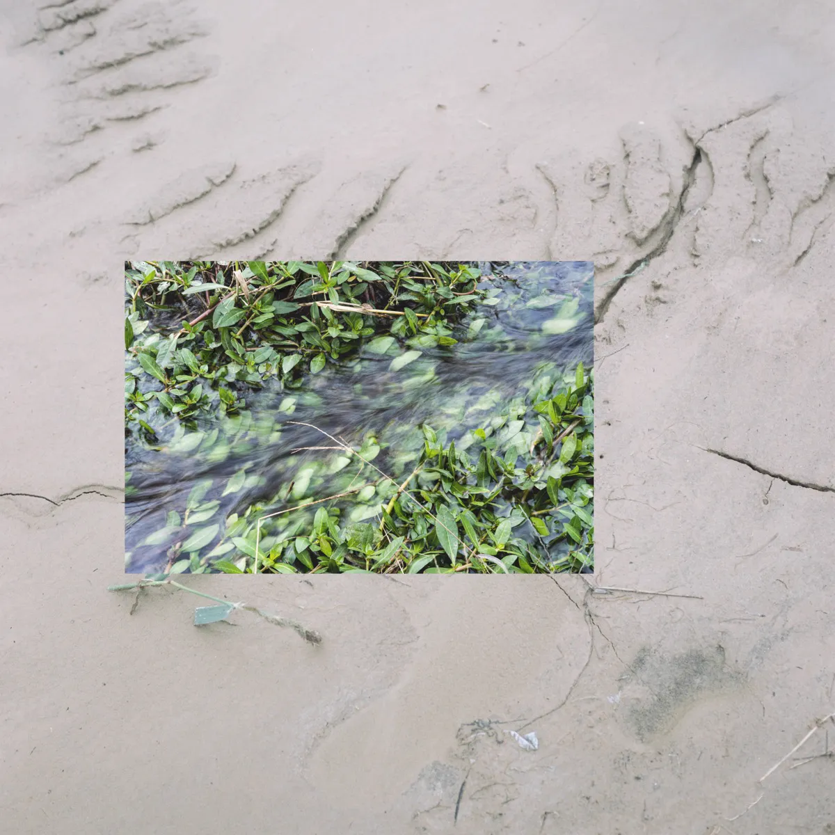 Spot news — 03